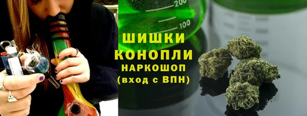 шишки Надым