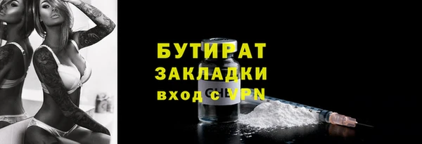 шишки Надым