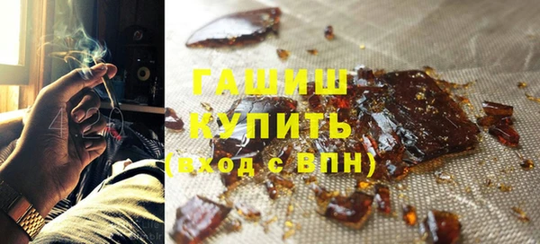 шишки Надым