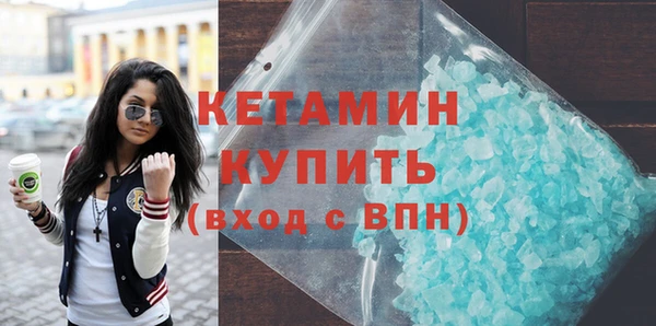 шишки Надым