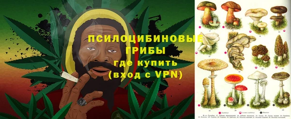 сатива Нефтекумск