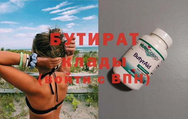 шишки Надым