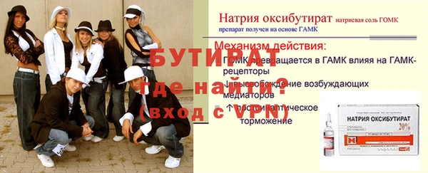 шишки Надым