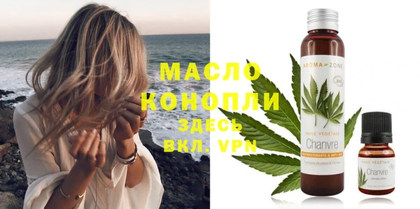 шишки Надым