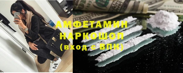 шишки Надым