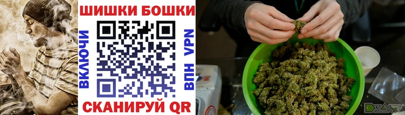 Бошки Шишки марихуана Николаевск